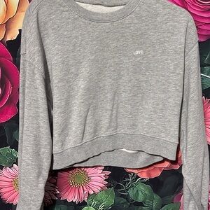 Gray Cropped Sweatshirt with 'Love' Embroidery
